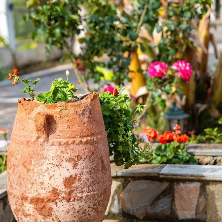 Neptune Appartement Corfu (city)